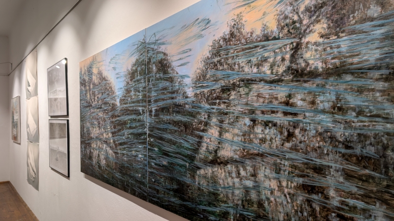 Schein oder Sein Seitenansicht 800